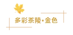 微信截图_20240105085845.png